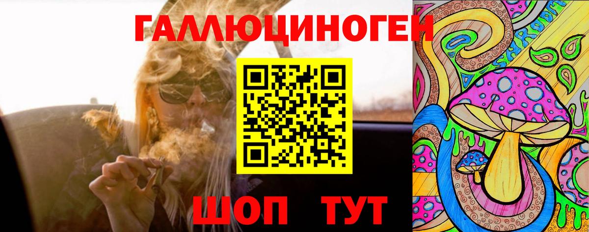 Псилоцибиновые грибы Psilocybine cubensis Соликамск