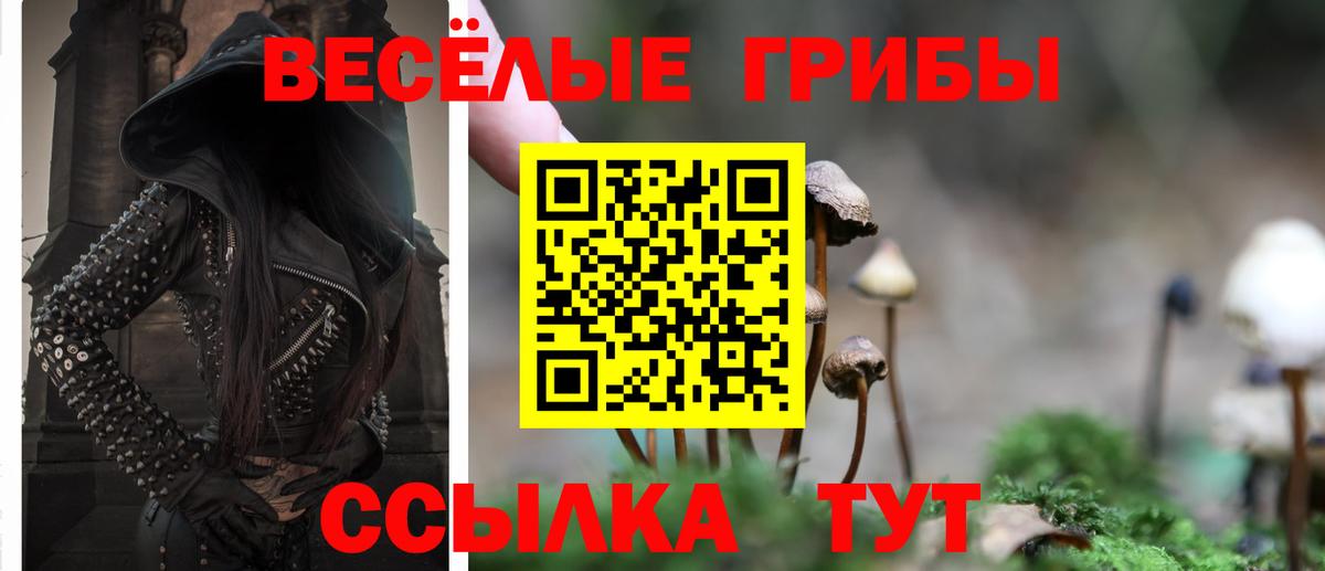 Галлюциногенные грибы Psilocybine cubensis  где найти наркотики  Соликамск  Галлюциногенные грибы ЛСД  Вход с VPN 